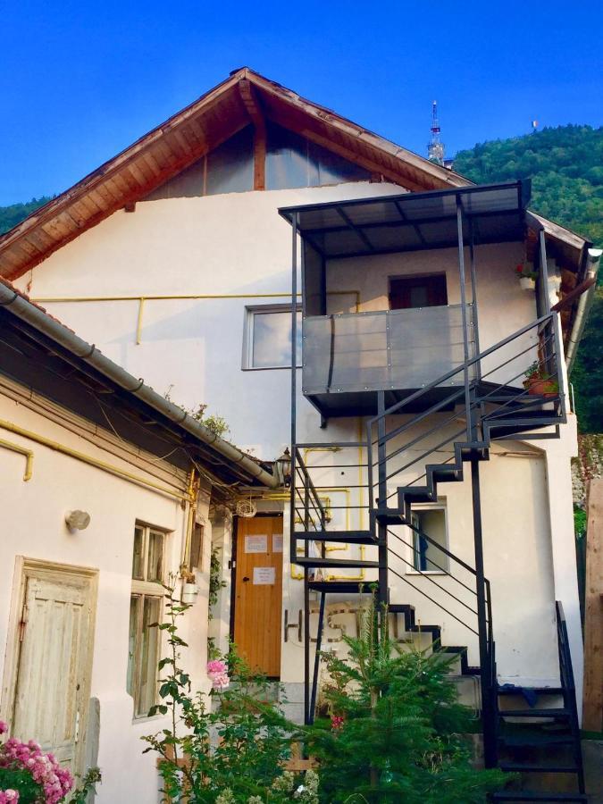 Downtown Hostel Braşov Extérieur photo