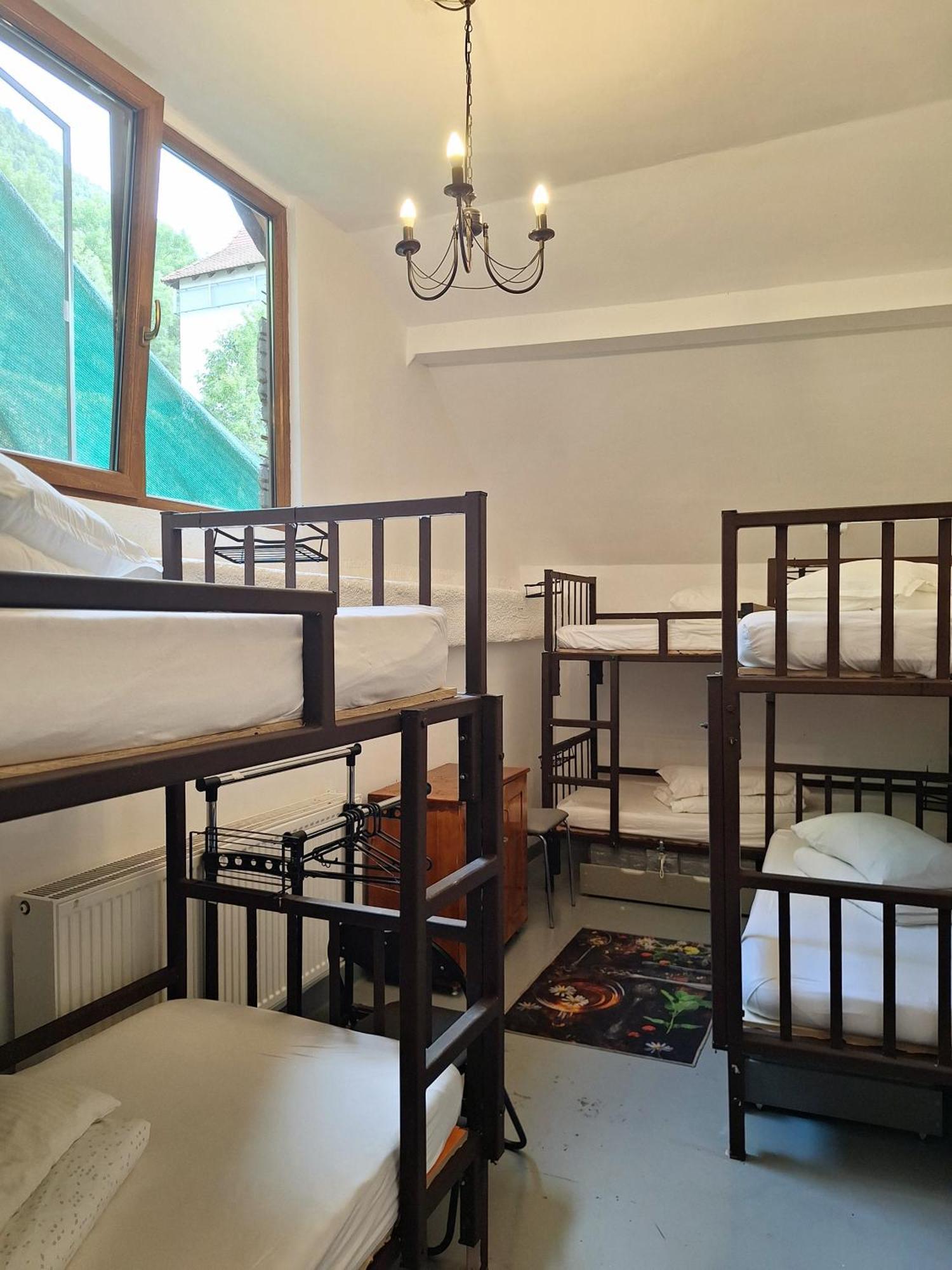 Downtown Hostel Braşov Extérieur photo
