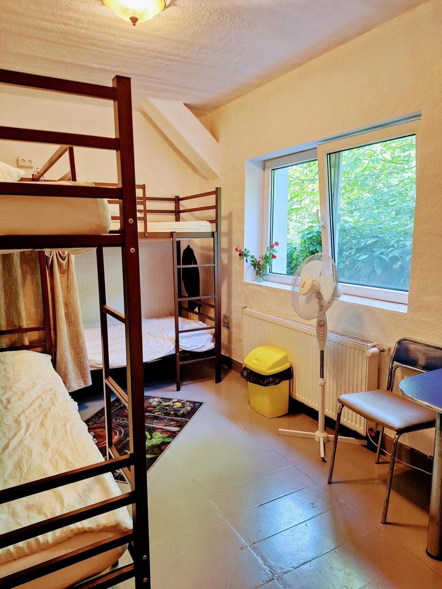 Downtown Hostel Braşov Extérieur photo