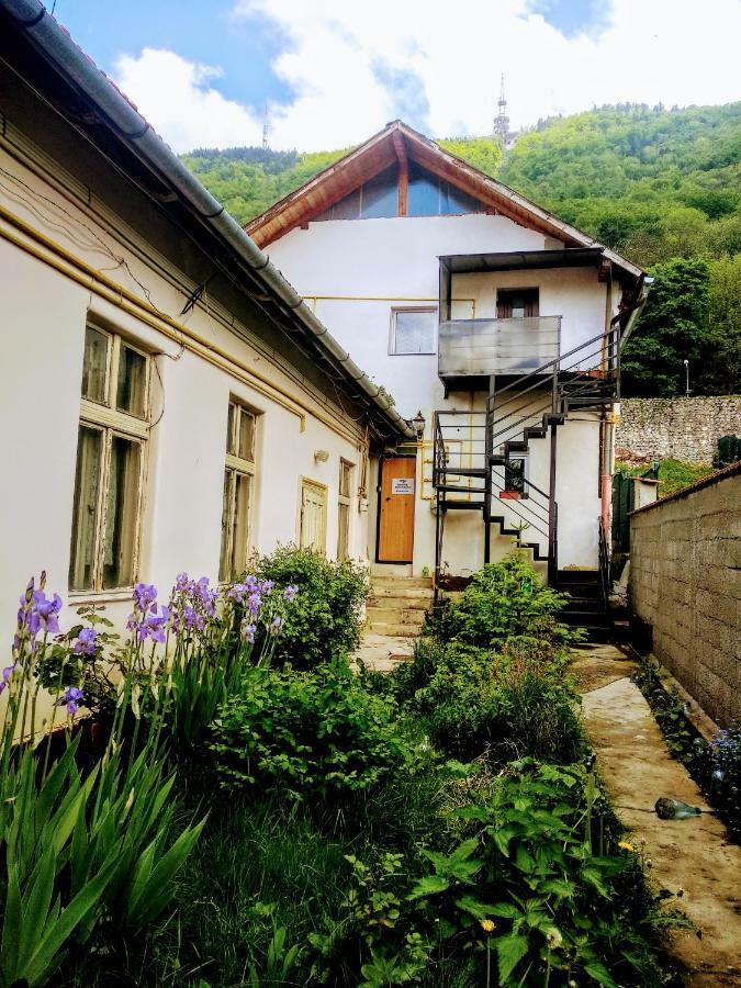 Downtown Hostel Braşov Extérieur photo