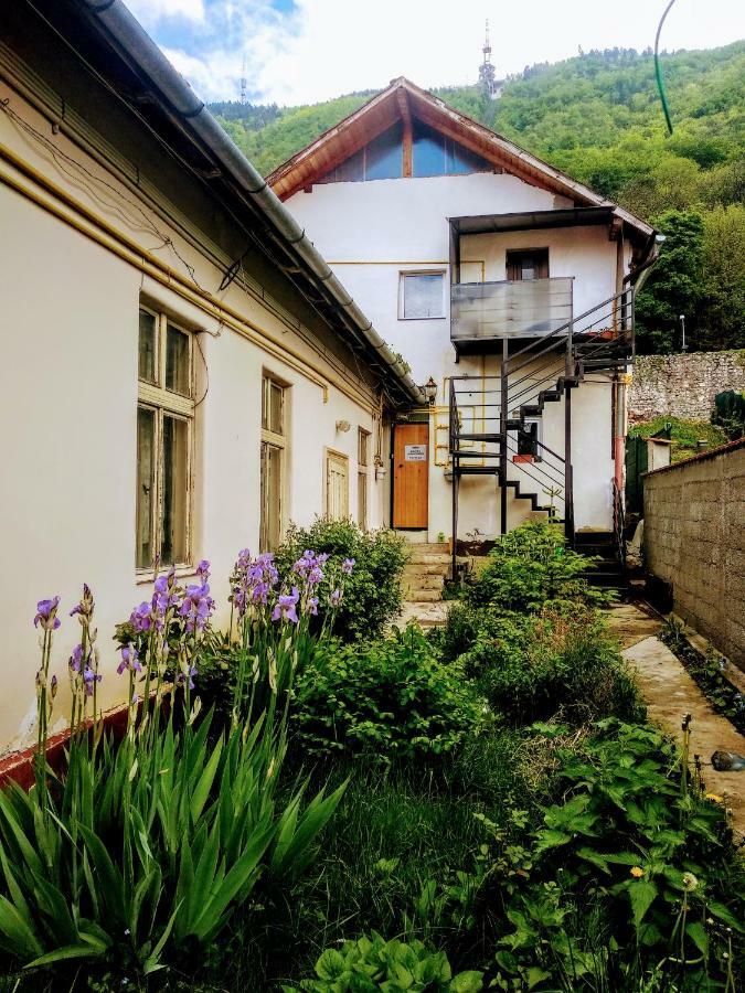 Downtown Hostel Braşov Extérieur photo